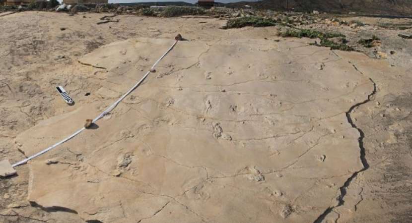 5.7 million years old human-like footprints found in Greece 5.7 million years old human-like footprints found in Greece