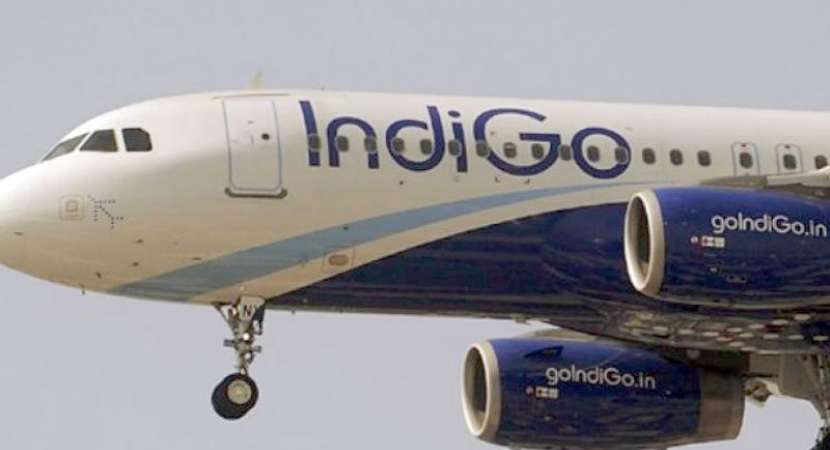 IndiGo Airlines IndiGo Airlines