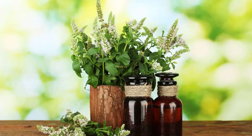 10 best essential oils benefits and how to use for hair, body 10 best essential oils benefits and how to use for hair, body