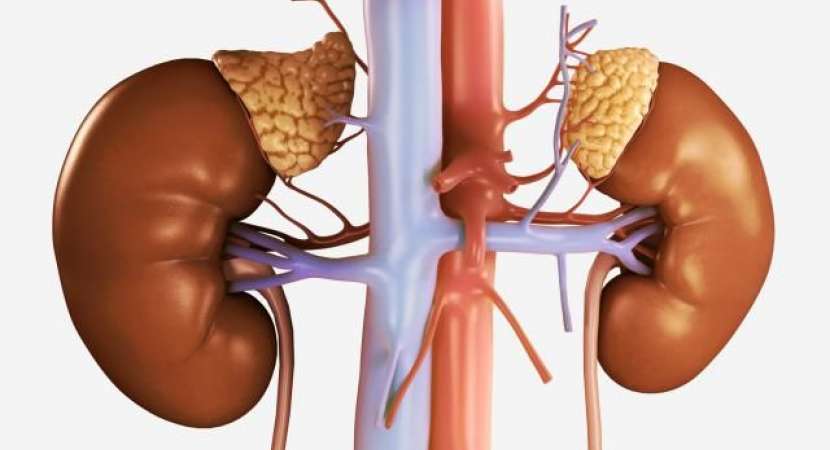 Study: Chronic kidney disease in India more common in women than men Study: Chronic kidney disease in India more common in women than men