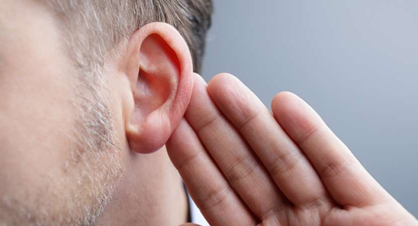 CDK2 inhibitors: New drugs may help prevent hearing loss CDK2 inhibitors: New drugs may help prevent hearing loss