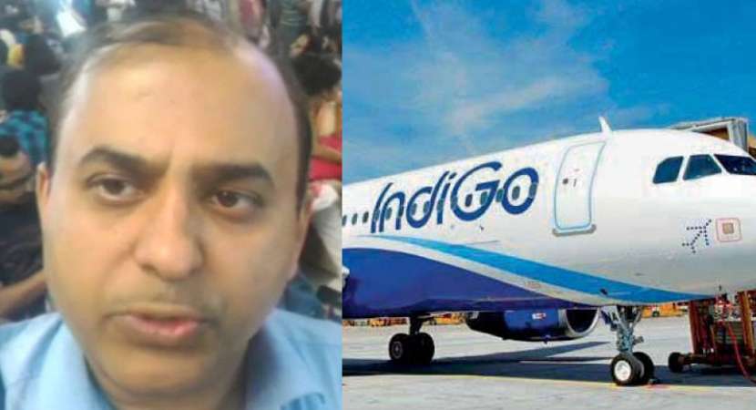 Indigo Airlines kicks out Bengaluru doctor in Lucknow over mosquito complaint Indigo Airlines kicks out Bengaluru doctor in Lucknow over mosquito complaint