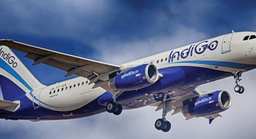 IndiGo deplanes passenger for complaining of mosquitoes, Suresh Prabhu orders probe IndiGo deplanes passenger for complaining of mosquitoes, Suresh Prabhu orders probe