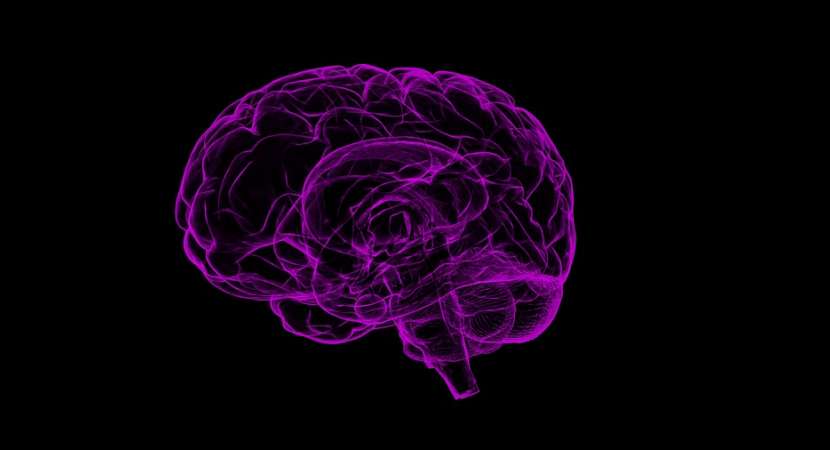 Study: Brain's memory area might be associated with anxiety, depression Study: Brain's memory area might be associated with anxiety, depression