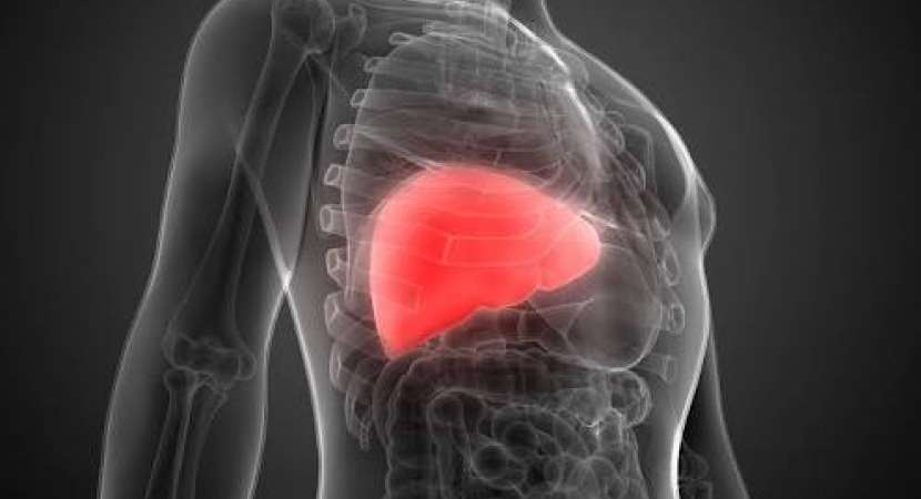 New radiotherapy holds promise of cure for liver cancer, says researchers New radiotherapy holds promise of cure for liver cancer, says researchers