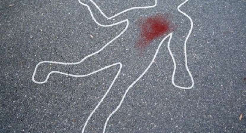 Himachal Pradesh: Woman official shot dead during demolition drive in Solan district Himachal Pradesh: Woman official shot dead during demolition drive in Solan district
