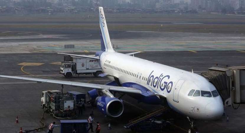IndiGo Airlines staffer arrested For making hoax bomb call to IGI airport