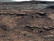 An international team of scientists are examining the challenges of reproduction on the Martian surface.