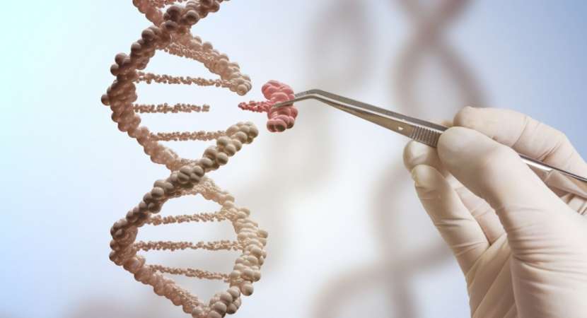 Every year almost 8 million new born babies suffer from severe genetic disorders or birth defects. Every year almost 8 million new born babies suffer from severe genetic disorders or birth defects.