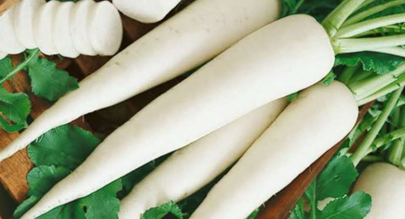 Eating radish may prevent heart disease, stroke: Study Eating radish may prevent heart disease, stroke: Study