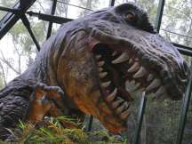 Dinosaurs liked perfumes that we enjoy today, says new study