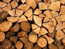 Chinese researchers develop new way to make artificial wood