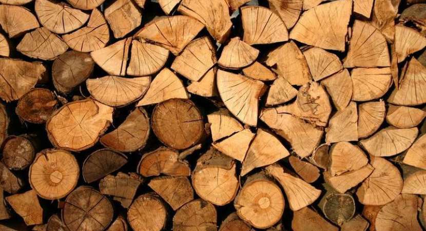 Chinese researchers develop new way to make artificial wood Chinese researchers develop new way to make artificial wood