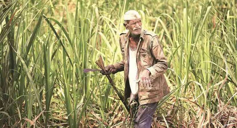 Cabinet approves scheme on remunerative crop prices Cabinet approves scheme on remunerative crop prices