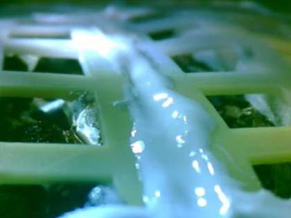 Historic claim: China confirms to growing first-ever plant on Moon Historic claim: China confirms to growing first-ever plant on Moon