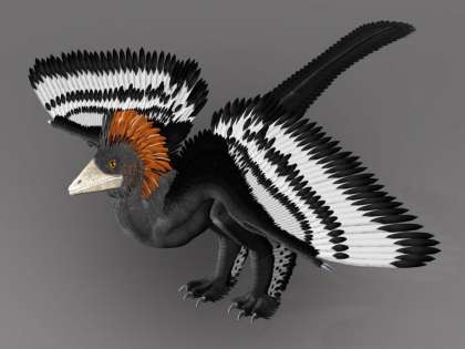 Anchiornis, one of the earliest feathered dinosaurs (Representational image) Anchiornis, one of the earliest feathered dinosaurs (Representational image)