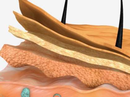 The e-skin can even feel magnetic field and sound wave vibrations. The e-skin can even feel magnetic field and sound wave vibrations.