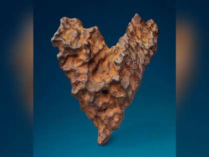 The 9-inch long meteorite is up for sale between Feb 6 and Feb 14 The 9-inch long meteorite is up for sale between Feb 6 and Feb 14